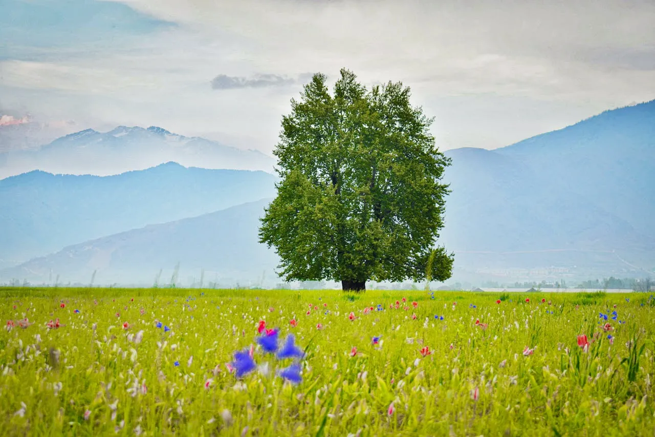 Pahalgam