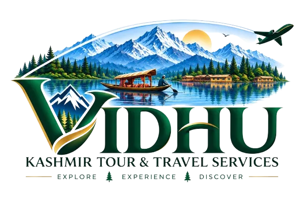 vidhu tour and travels — Curated Tours & Holidays